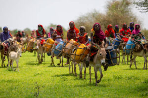 Due to insufficient resources in Chad, people travel to water resources tens of kilometers every day