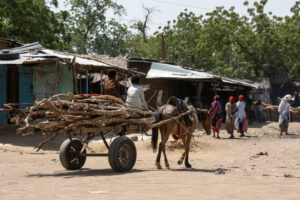 Bitkine, Chad - February 20, 2020: A horse-drawn cart with a load of wood enters the main street of the town of Bitkine. Bitkine is an important trading town in Central Chad.