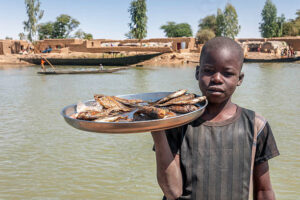Child from Chad sells dried fishes.